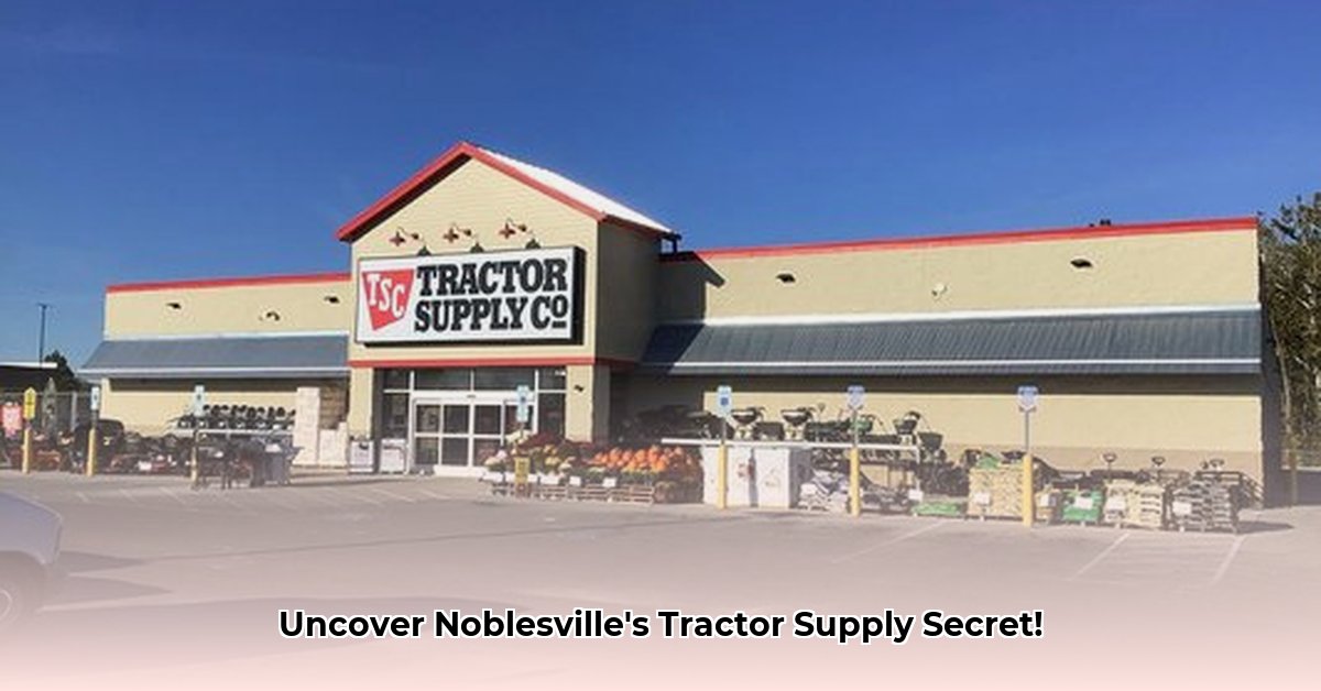 tractor-supply-noblesville-indiana